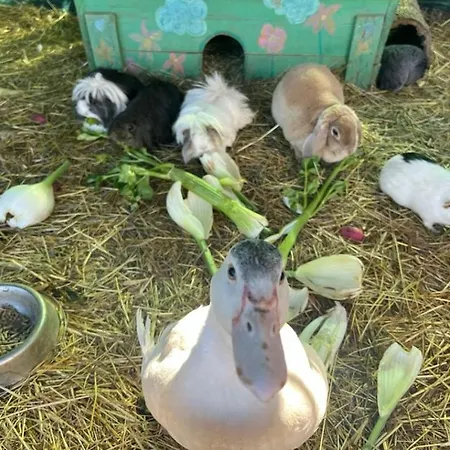 Sejour A La Ferme * Jouques