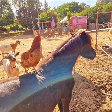 Sejour A La Ferme * Jouques